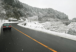 20110201084500001.jpg
