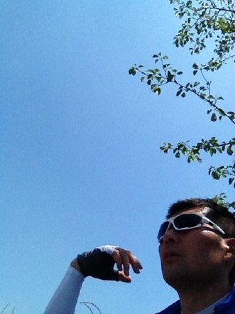 2IMG_4764.jpg