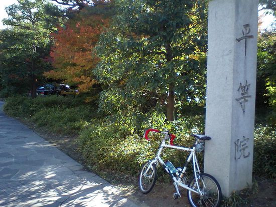 CA370009_s.jpg