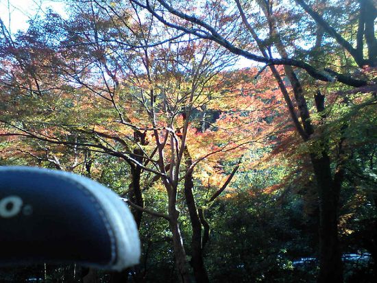 CA370018_s.jpg