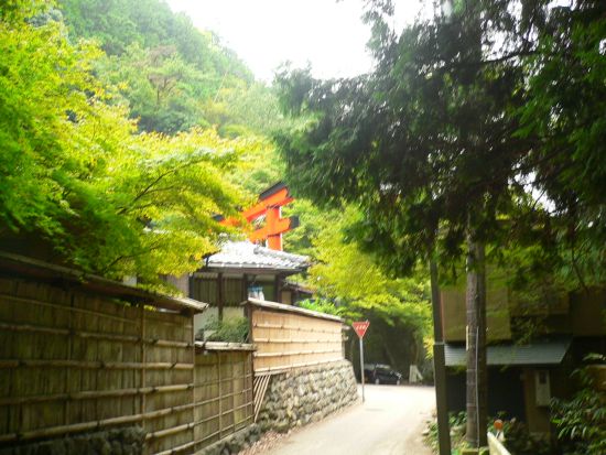 P1110486_ss.jpg