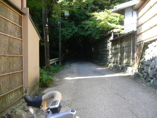P1110901_s.jpg