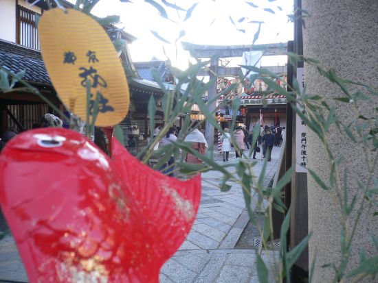 P1130010_s.jpg