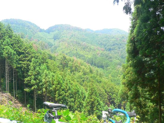 P1130882_s.jpg