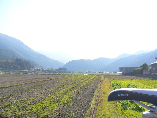 P1150119_s.jpg