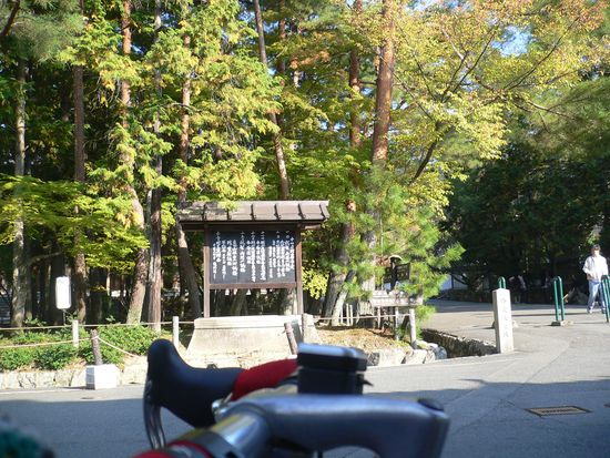P1150138_s.jpg