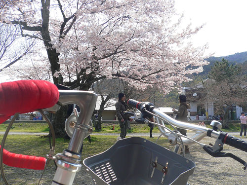 P1150834.JPG