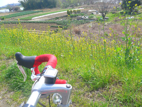 P1150879.JPG