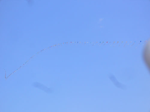 P1150899.JPG