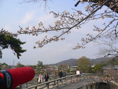 P1150913.JPG