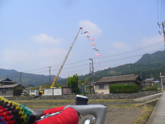 P1160019.JPG