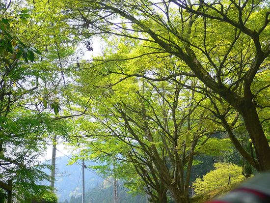 P1160025.JPG