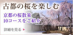 top_koto.jpg
